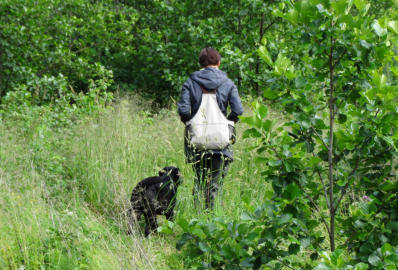 Foto: Labrador-of-Hohenlohe