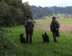 Foto: Labrador-of-Hohenlohe